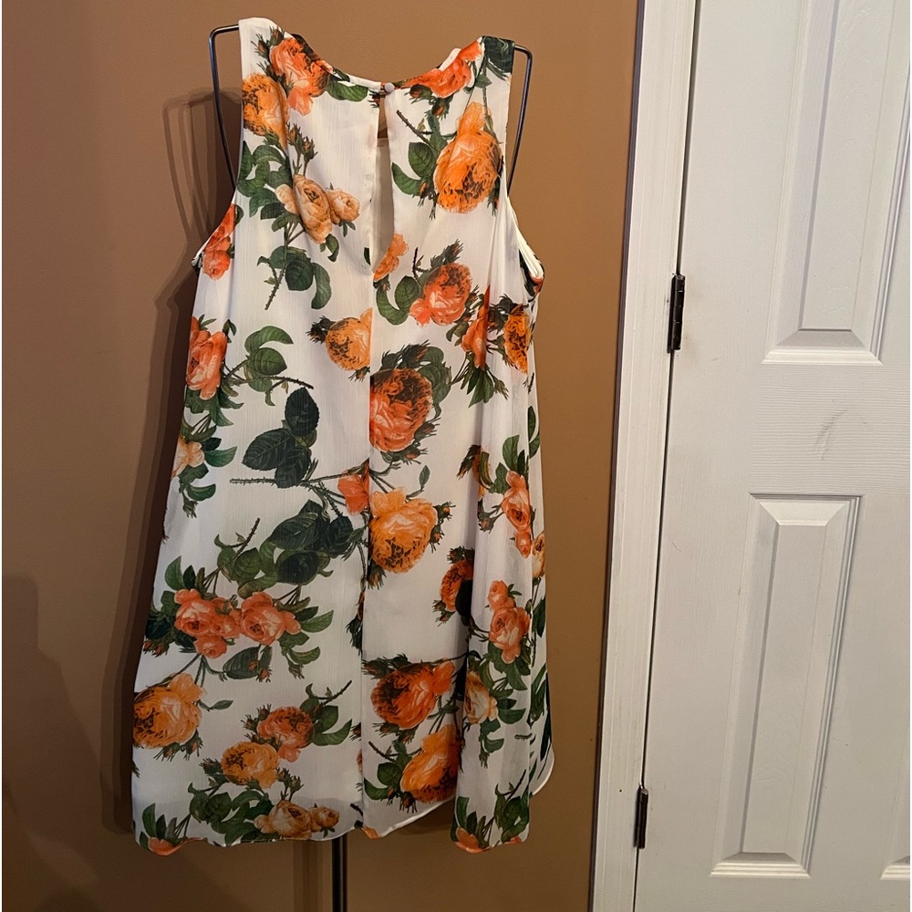 Calvin Klein Women's Trapeze Dress Floral Sleeveless Chiffon Lined Size 12